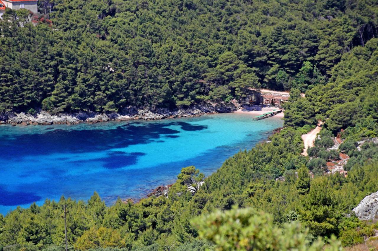 Apartments By The Sea Luka Dubrava, Peljesac - 4568 Janjina Dış mekan fotoğraf